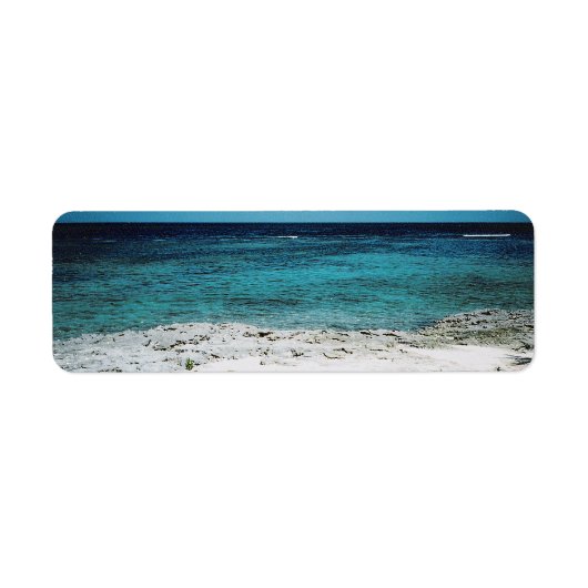 Tropische Gaze (Vorne)