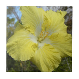 Tropische gelbe Blumen-Fliesen-HawaiiblumenBlume Fliese