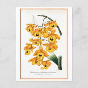 Tropische Gelborchidee Postkarte