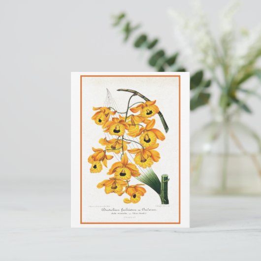 Tropische Gelborchidee Postkarte (Stehend Vorderseite)
