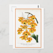 Tropische Gelborchidee Postkarte (Vorne/Hinten)