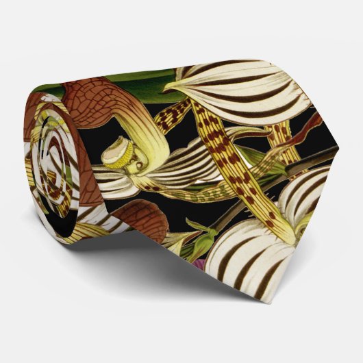 Tropische gestreifte krawatte (Gerollt)