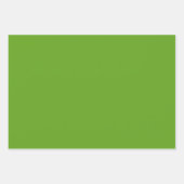 Tropische grüne Blätter Rosa Orangefarbene Blume (Vorderseite 2)