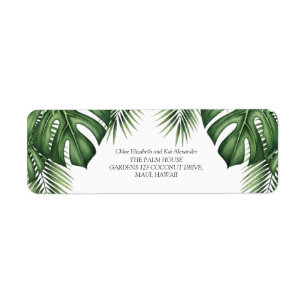 Tropische Grünpflanzen Monstera Hochzeits-Rücksend