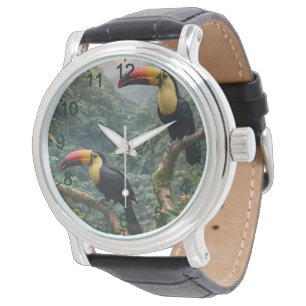 Tropische Harmonie: Zwei Toucans auf der Canopy Armbanduhr