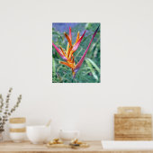 TROPISCHE HELIKONIA POSTER (Küche)