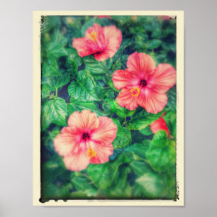 Tropische Hibiskusblüten im Vintage-Stil Poster