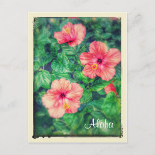 Tropische Hibiskusblüten im Vintage-Stil Postkarte