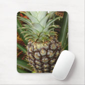 Tropische Hinterhof-Ananas Mousepad (Mit Mouse)