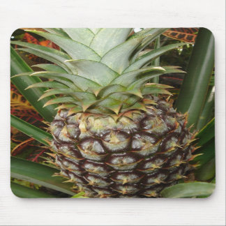 Tropische Hinterhof-Ananas Mousepad