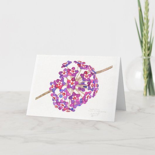 Tropische Honig Karte (Vorderseite)