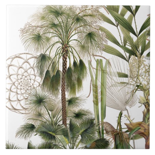Tropische Insel-Palme-Wedel-Keramik-Fliese Fliese (Vorderseite)