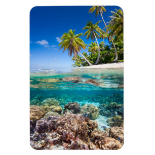 Tropische Insel unter und über Wasser Magnet
