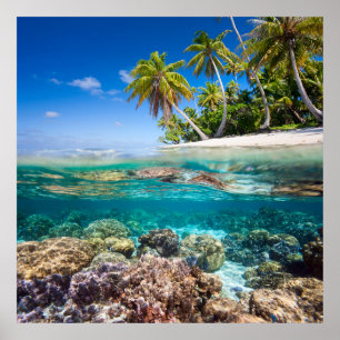 Tropische Insel unter und über Wasser Poster