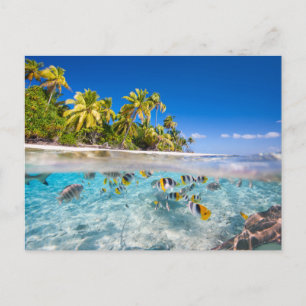 Tropische Insel unter und über Wasser Postkarte