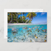 Tropische Insel unter und über Wasser Postkarte (Vorne/Hinten)