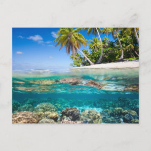Tropische Insel unter und über Wasser Postkarte