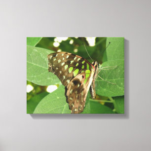 Tropische Iridescent Green Butterfly Canvas drucke