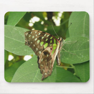 Tropische Iridescent Green Butterfly Mousepad