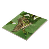 Tropische Iridescent Green Butterfly Tile Fliese (Seite)