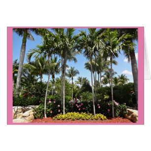 Tropische Kokosnussplantage Bonita Springs Florida