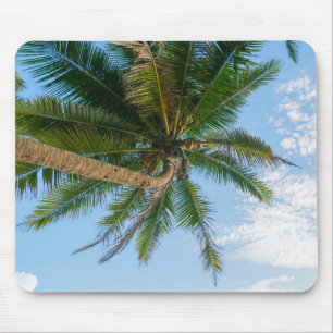 Tropische Kokospalme unter blauem Himmel Mousepad