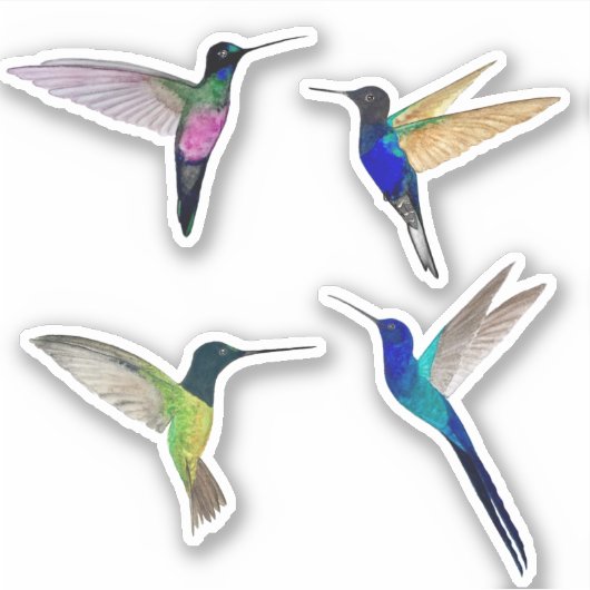 Tropische Kolibris Aufkleber (Vorderseite)