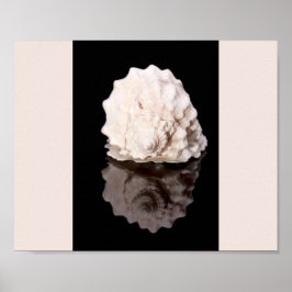 Tropische Kunst in Schwarz und Weiß Poster