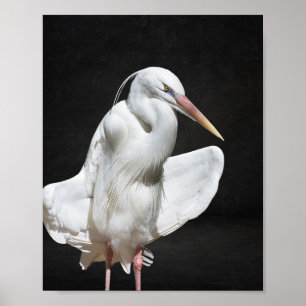 Tropische Kunst in Schwarz und Weiß Poster