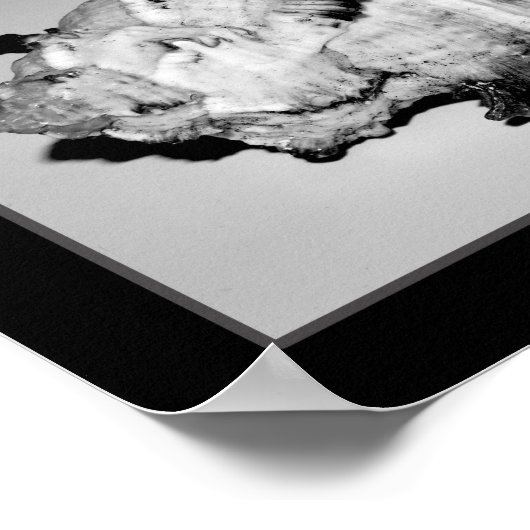 Tropische Kunst in Schwarz und Weiß Poster (Ecke)