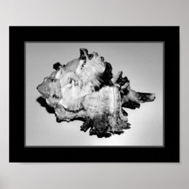 Tropische Kunst in Schwarz und Weiß Poster