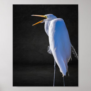 Tropische Kunst in Schwarz und Weiß Poster