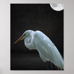 Tropische Kunst in Schwarz und Weiß Poster