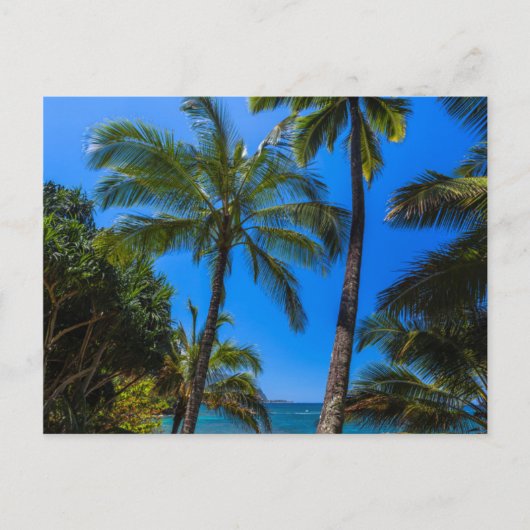 Tropische Küste 2 Postkarte (Vorderseite)