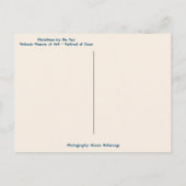 Tropische Küste Meer 'n Grüße Weihnachten Postkarte (Rückseite)