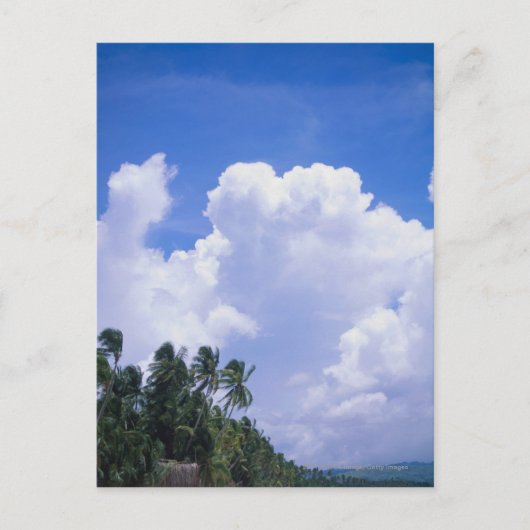 tropische Küste Postkarte (Vorderseite)