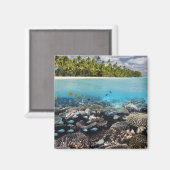 Tropische Lagune im Süd-Ari-Atoll Magnet (Vorderseite/Rückseite)