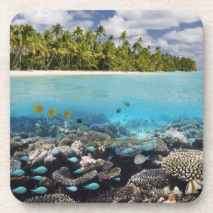 Tropische Lagune in SüdAri Atoll Getränkeuntersetzer