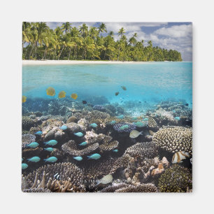 Tropische Lagune in SüdAri Atoll in Magnet