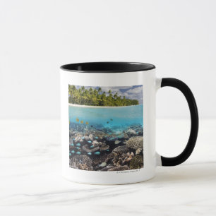 Tropische Lagune in SüdAri Atoll in Tasse