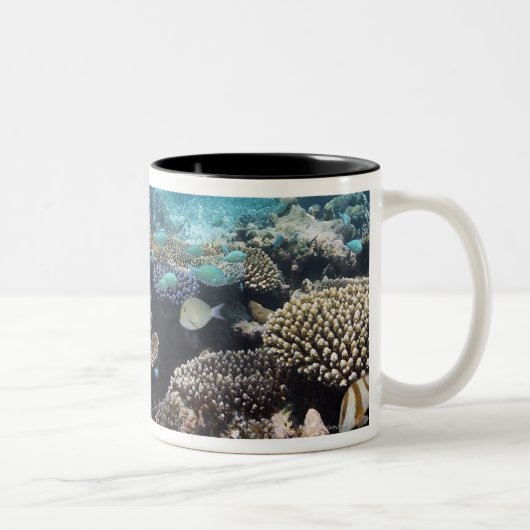 Tropische Lagune in SüdAri Atoll in Zweifarbige Tasse (Rechts)