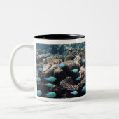 Tropische Lagune in SüdAri Atoll in Zweifarbige Tasse (Links)