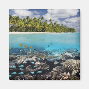 Tropische Lagune in SüdAri Atoll Magnet