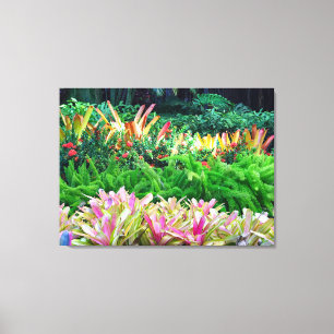 Tropische Landschaft Leinwanddruck