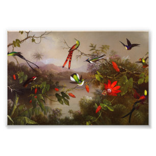 Tropische Landschaft mit zehn Hummingbirds Heade Fotodruck