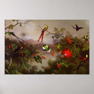 Tropische Landschaft mit zehn Hummingbirds Heade Poster