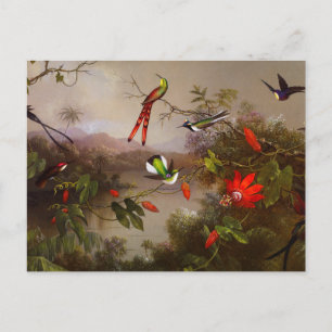 Tropische Landschaft mit zehn Hummingbirds Heade Postkarte