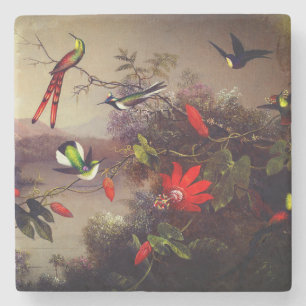 Tropische Landschaft mit zehn Hummingbirds Heade Steinuntersetzer