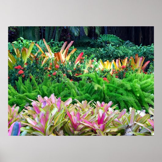 Tropische Landschaft Poster (Vorne)