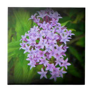 Tropische lila hawaiische Blumen-Fliese Fliese